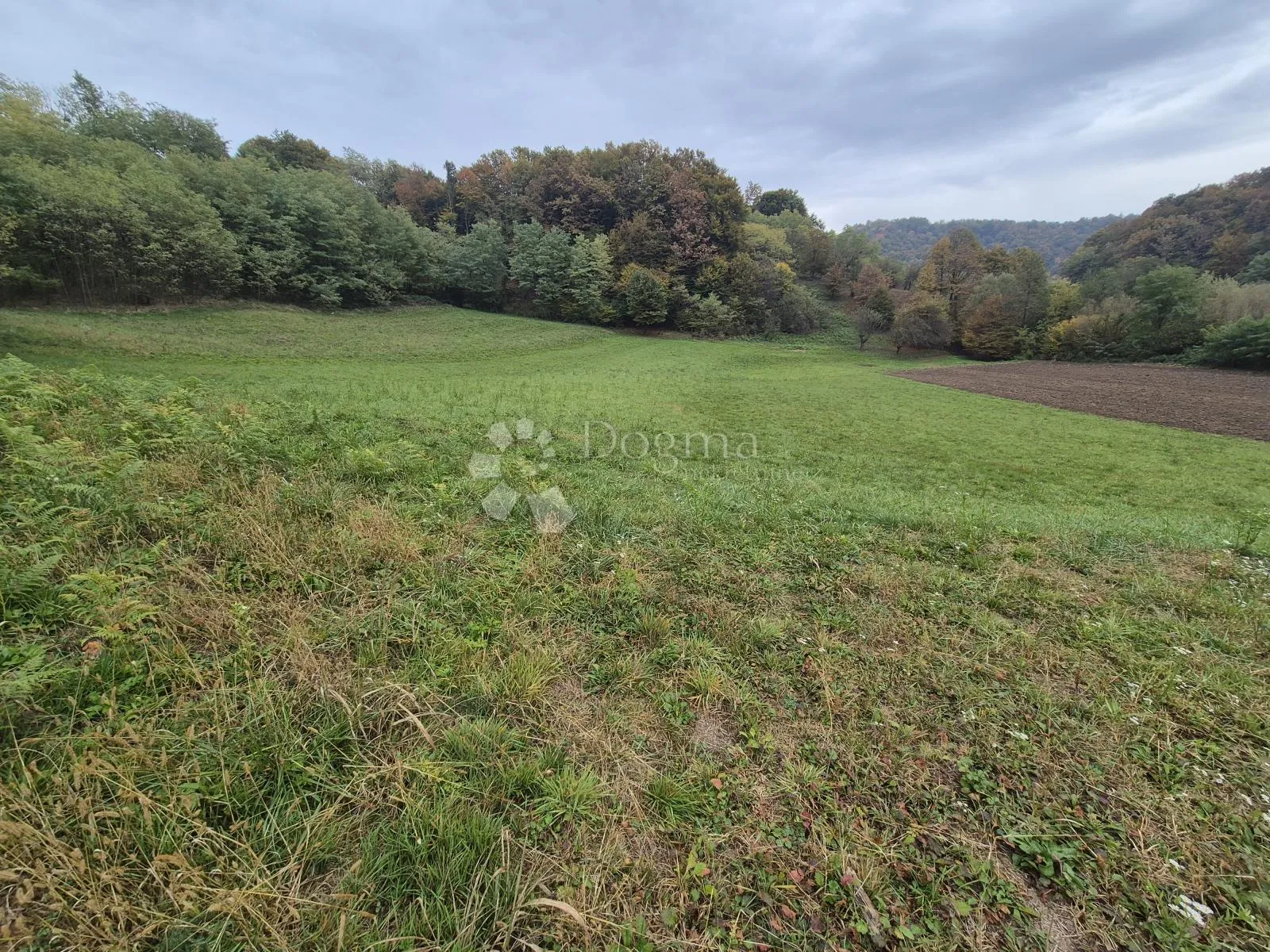 zemljište 1.169m² na mirnoj lokaciji sa pristupnim putem nadomak slovenije! - slika 4