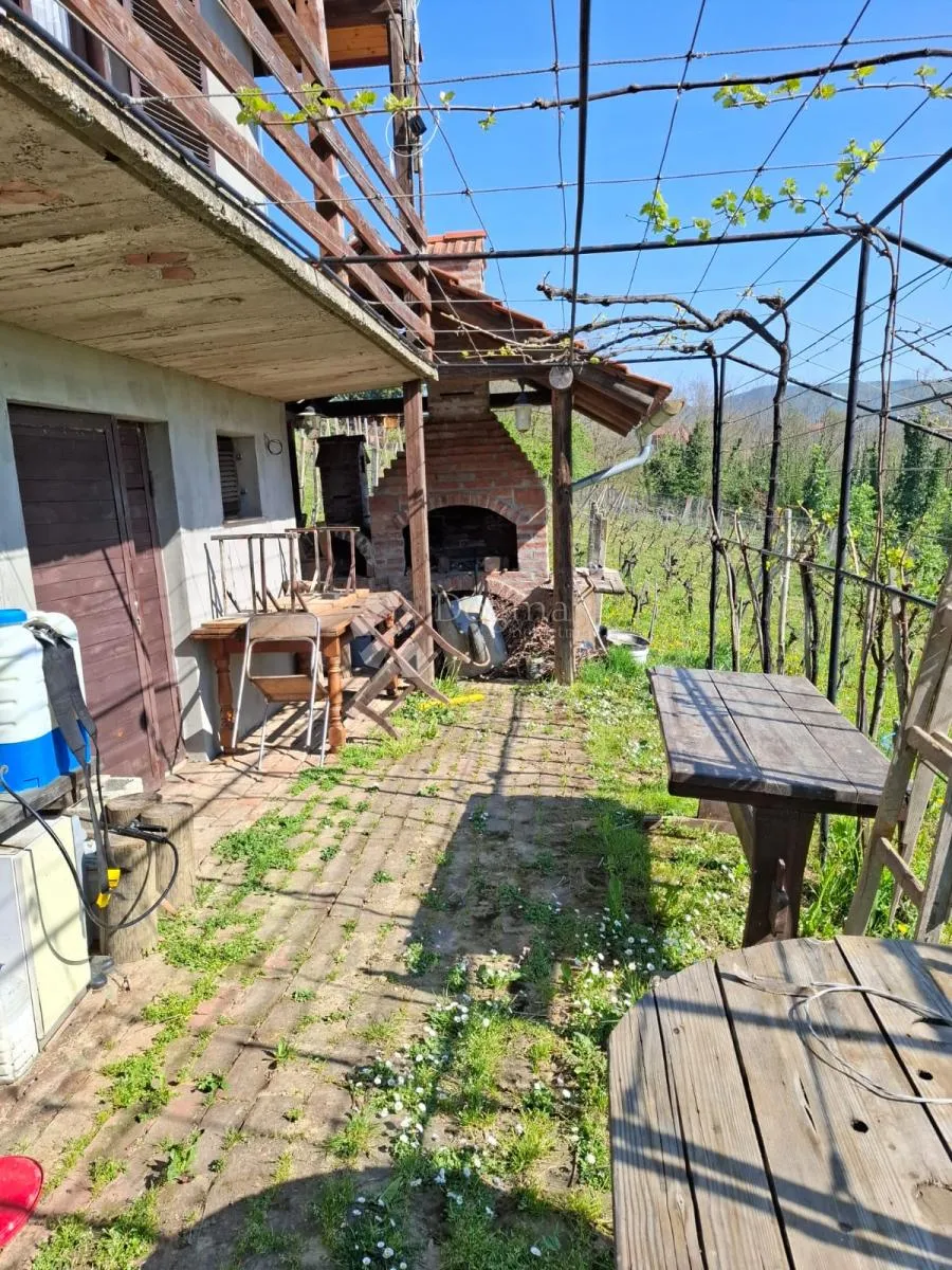 stražinec – klet s vinogradom, voćnjakom, površine 1.200 m² - slika 6