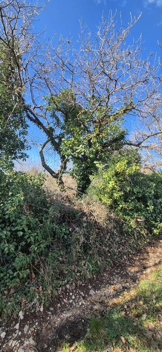 kombinirano građevinsko zemljište 850 m2 i poljoprivredno zemljište 3726 m2 - slika 17