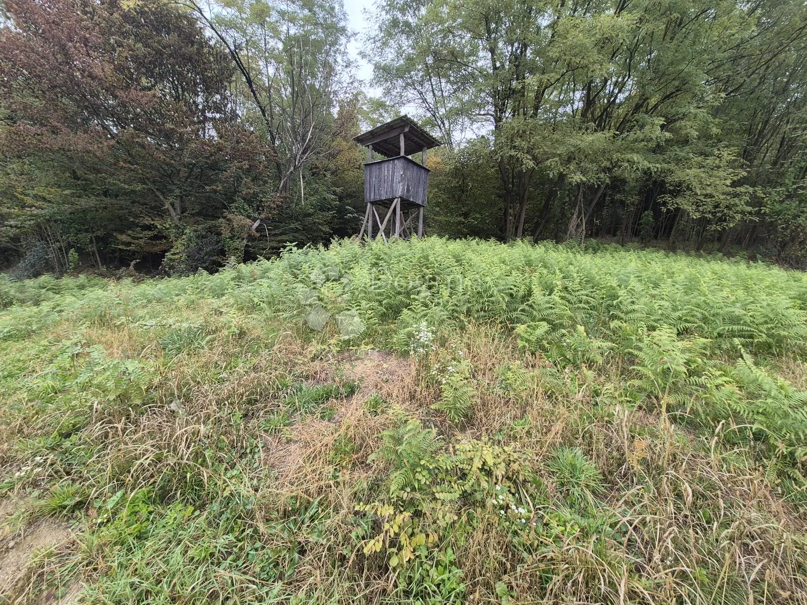 Zemljište 1.169m² na mirnoj lokaciji sa pristupnim putem nadomak Slovenije! - Mala Gora, Pregrada