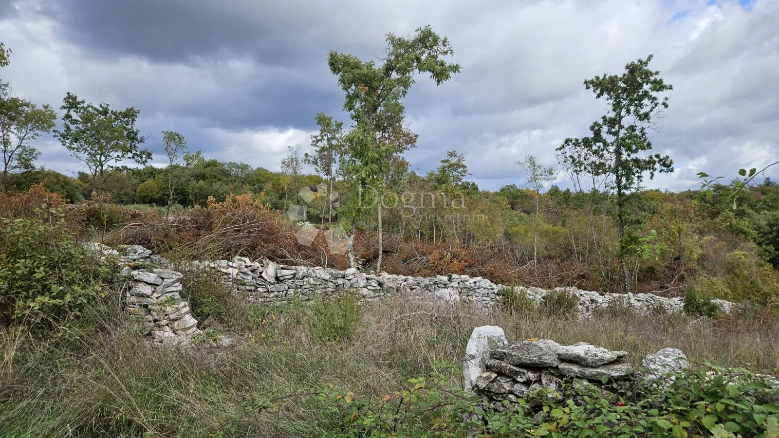 780 m2 građevinskog i 2665 m2 poljoprivrednog zemljišta - slika 2