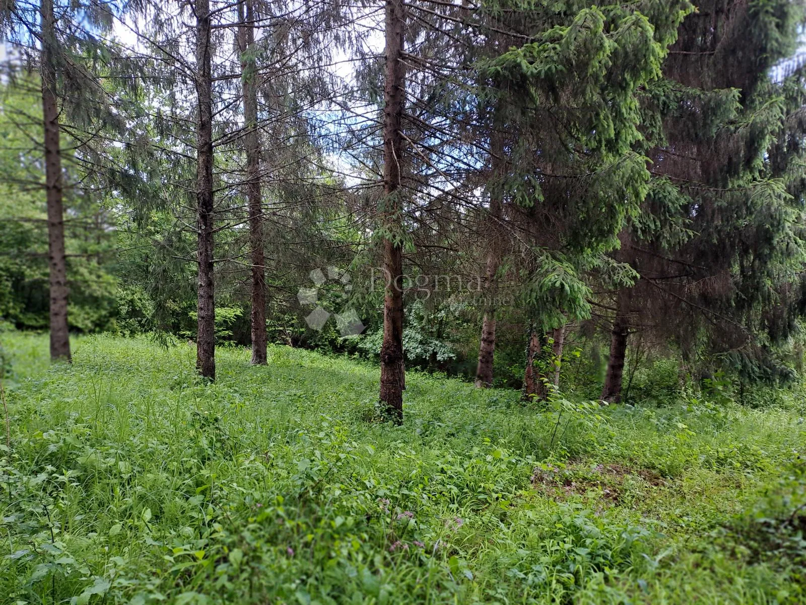 vikendica bez susjeda, bunar - slika 8