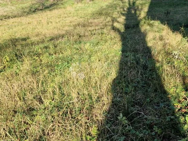 mirna lokacija za vikendicu a frame - slika 2