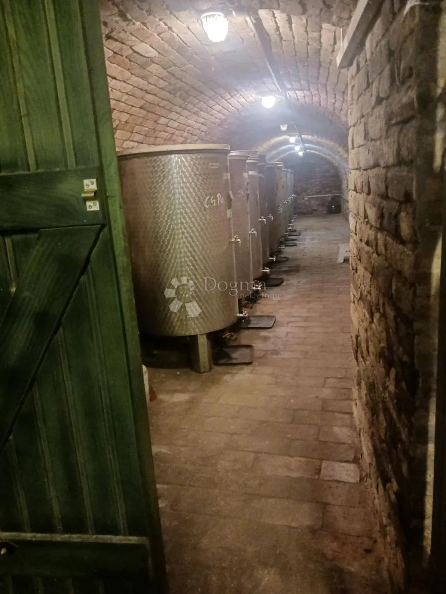 Najam vinskog podruma s opremom! - Zmajevac, Kneževi Vinogradi