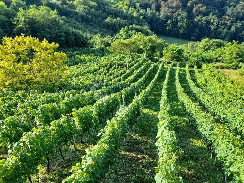 kuća za odmor s velikim iznajmljivačkim potencijalom – između krapinskih i tuheljskih toplica - slika 11