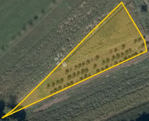 lješnjaci + poticaji = pametna kupnja! 1583 m² - slika 5