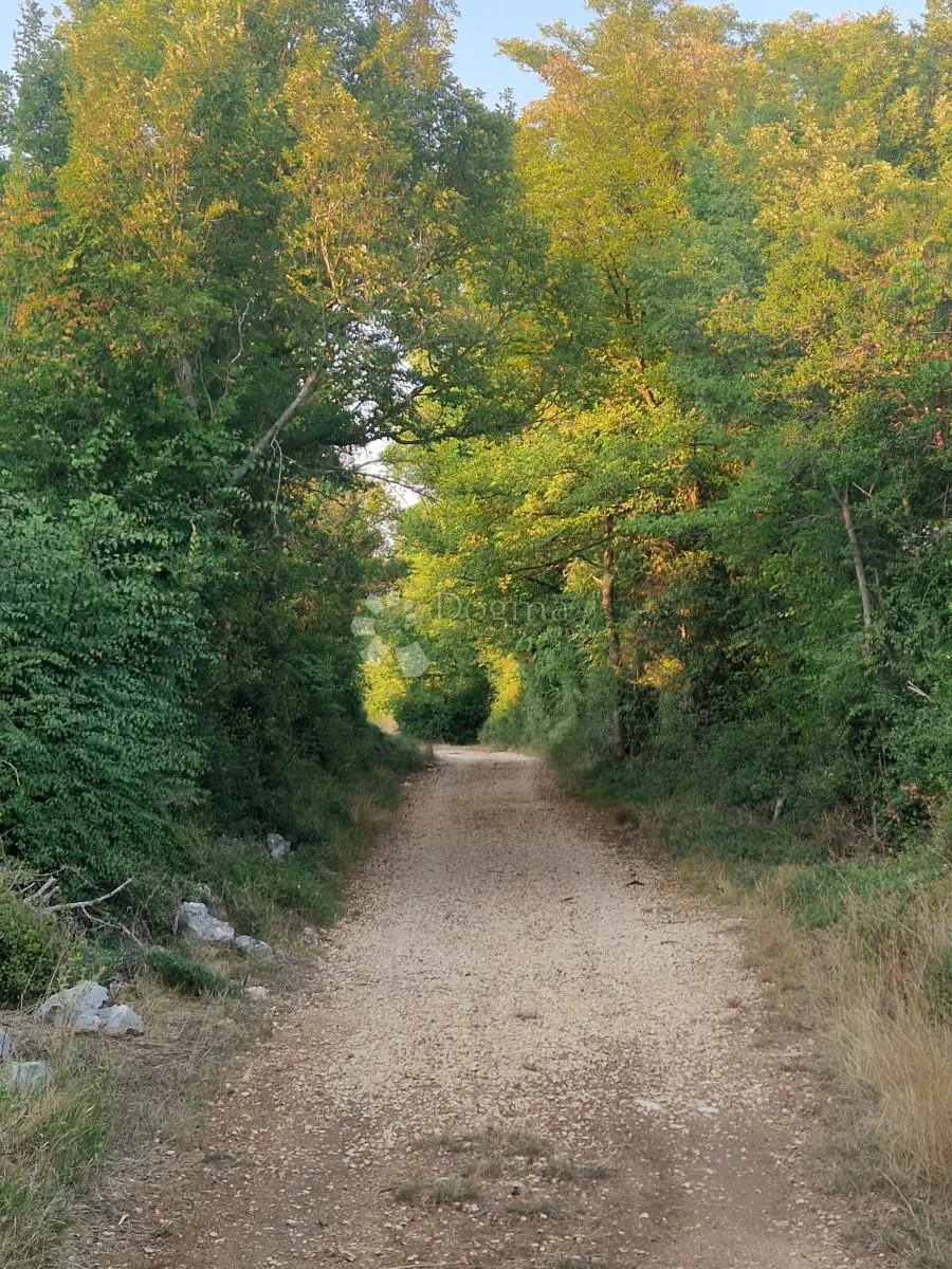 glavica (sv. petar na moru) - poljoprivredno zemljište 3202m2 - slika 4
