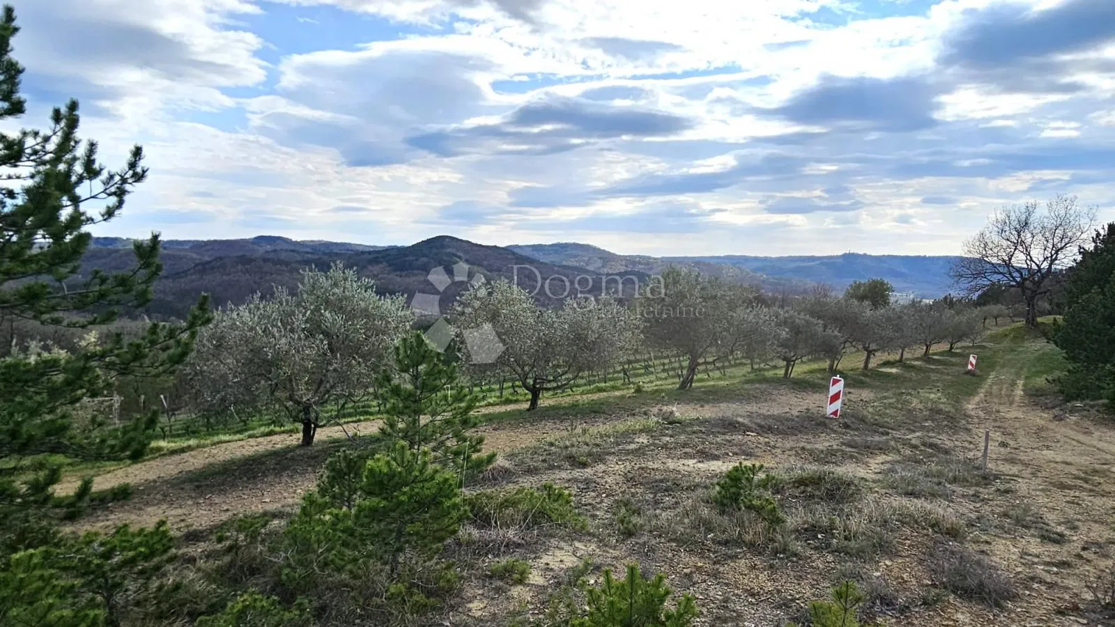 vinograd u oloici pazina - pogled na učku i more - slika 9