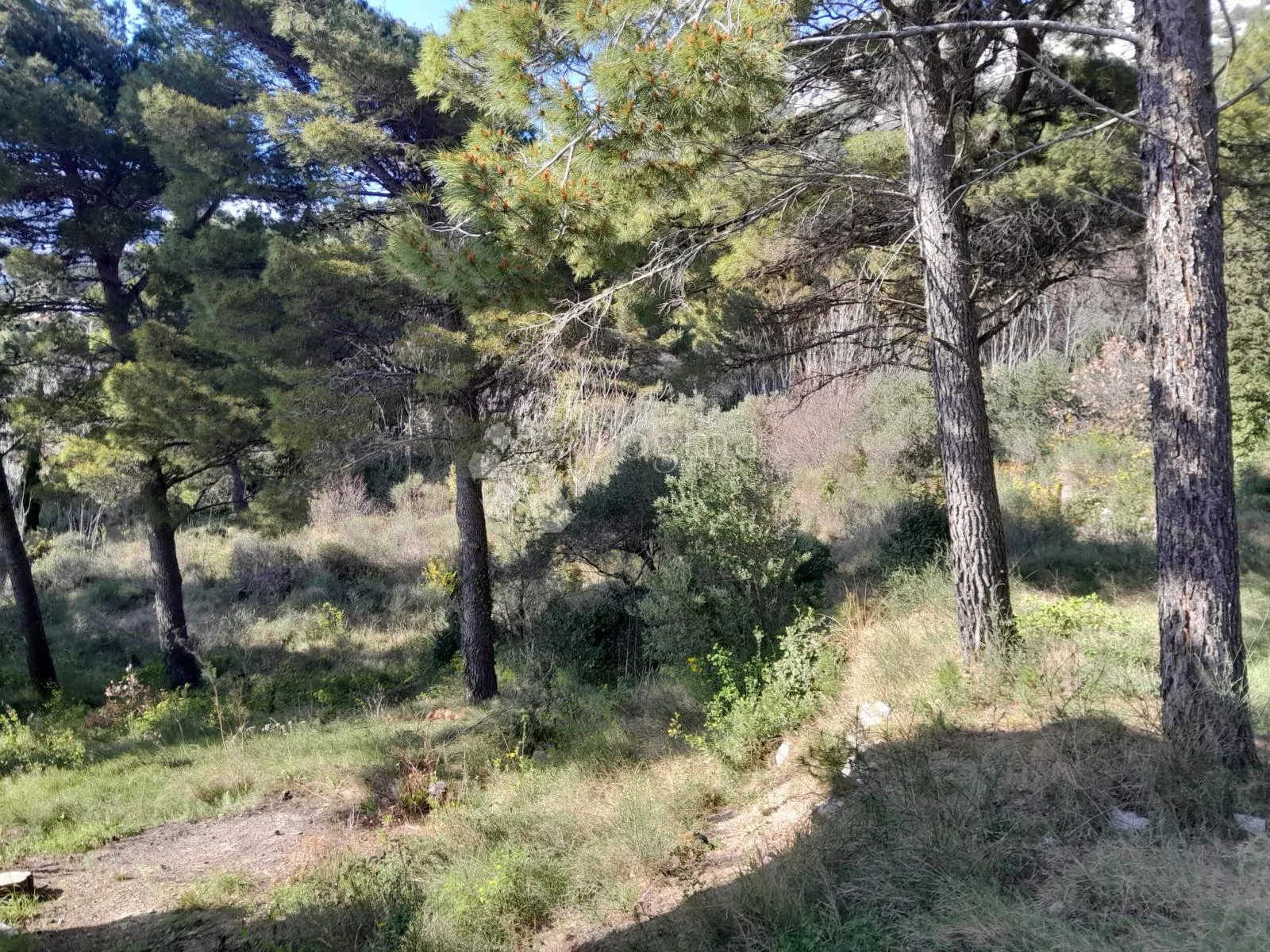građevinsko zemljište brela 1070m2 - slika 9