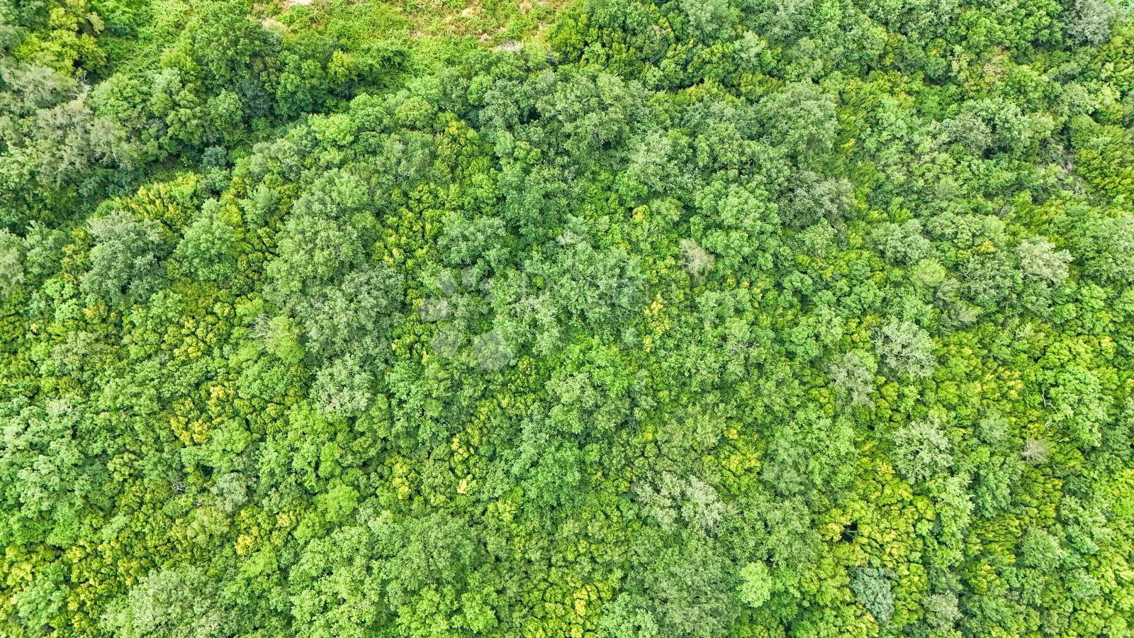 zemljižšte za zdrastveni turizam - slika 7