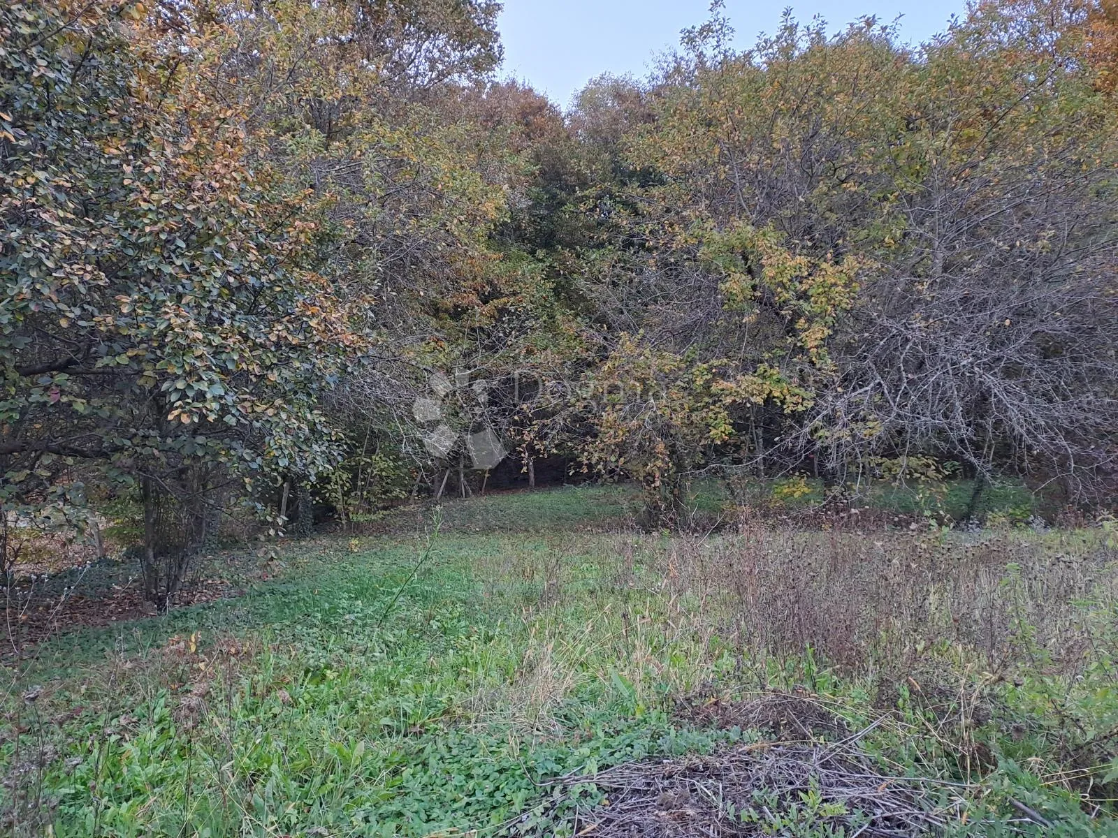 kuća topusko, lijep pogled, lijep voćnjak, lijepa cijena - slika 24