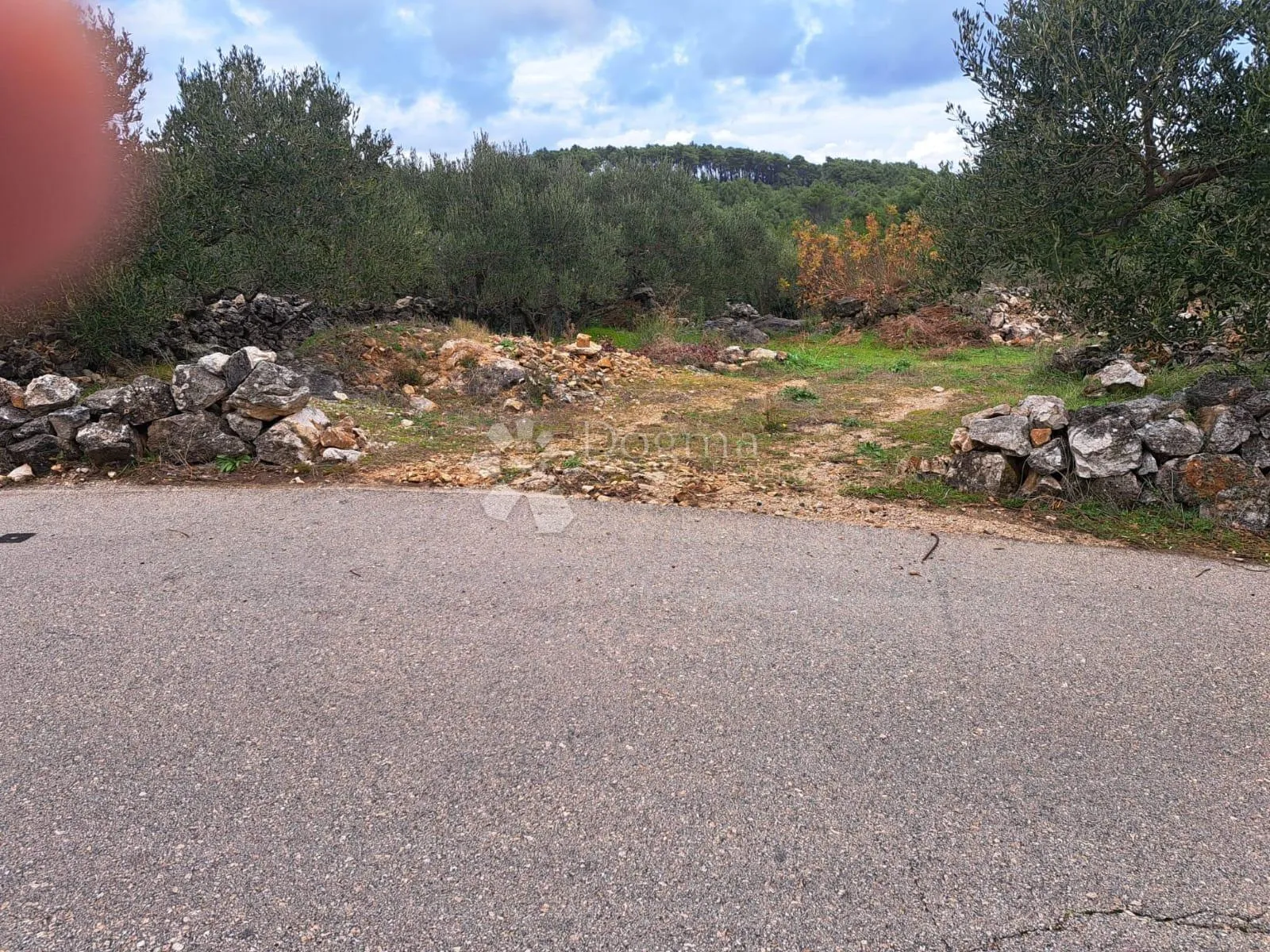 poljoprivredno zemljište hvar-jelsa 9500m2 - slika 5