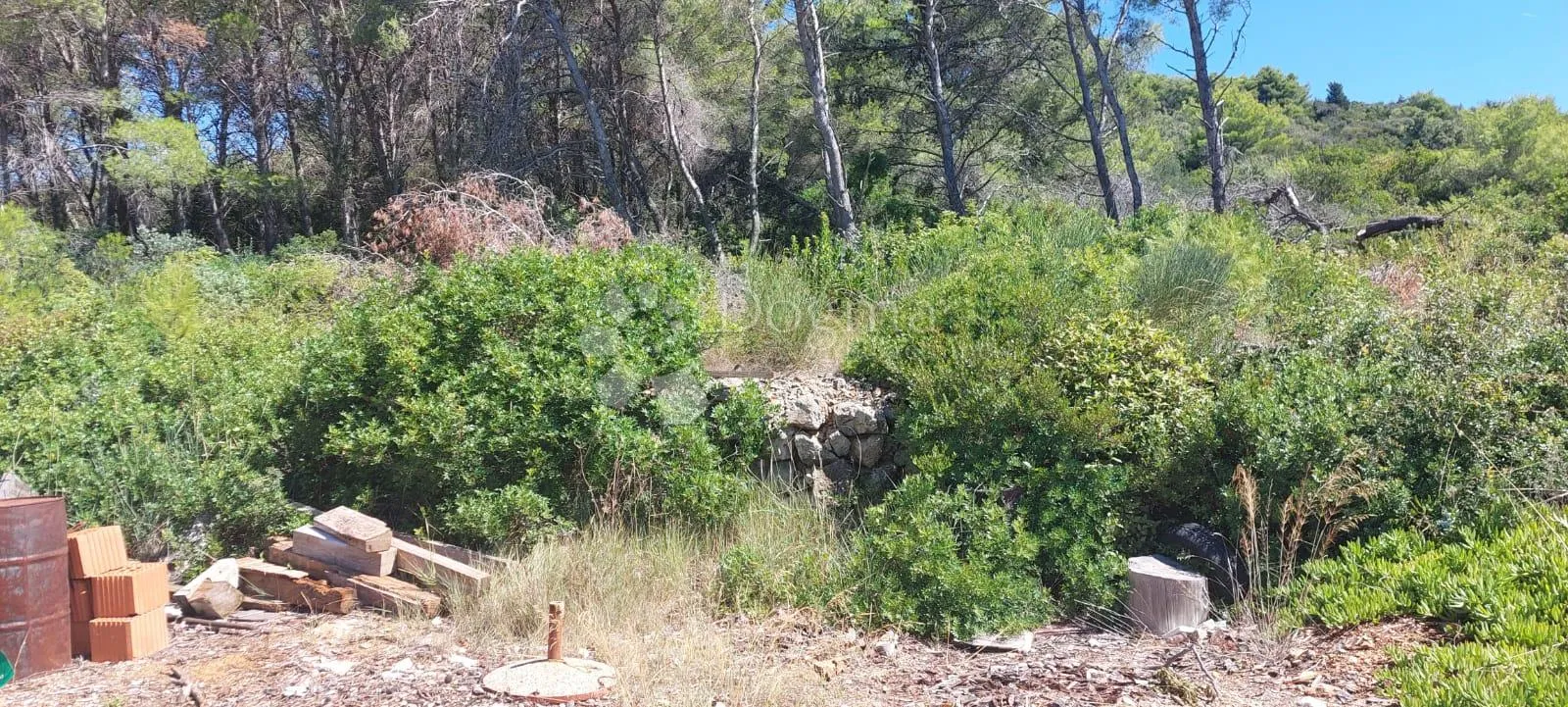dugi otok građevinsko zemljište 1.vi red do mora brbinj - slika 4