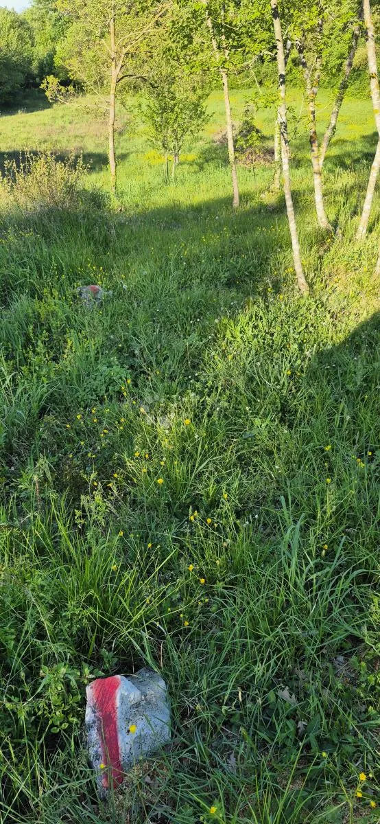 kombinirano građevinsko 950 m2 +poljoprivredno zemljište 1773 m2 - slika 14