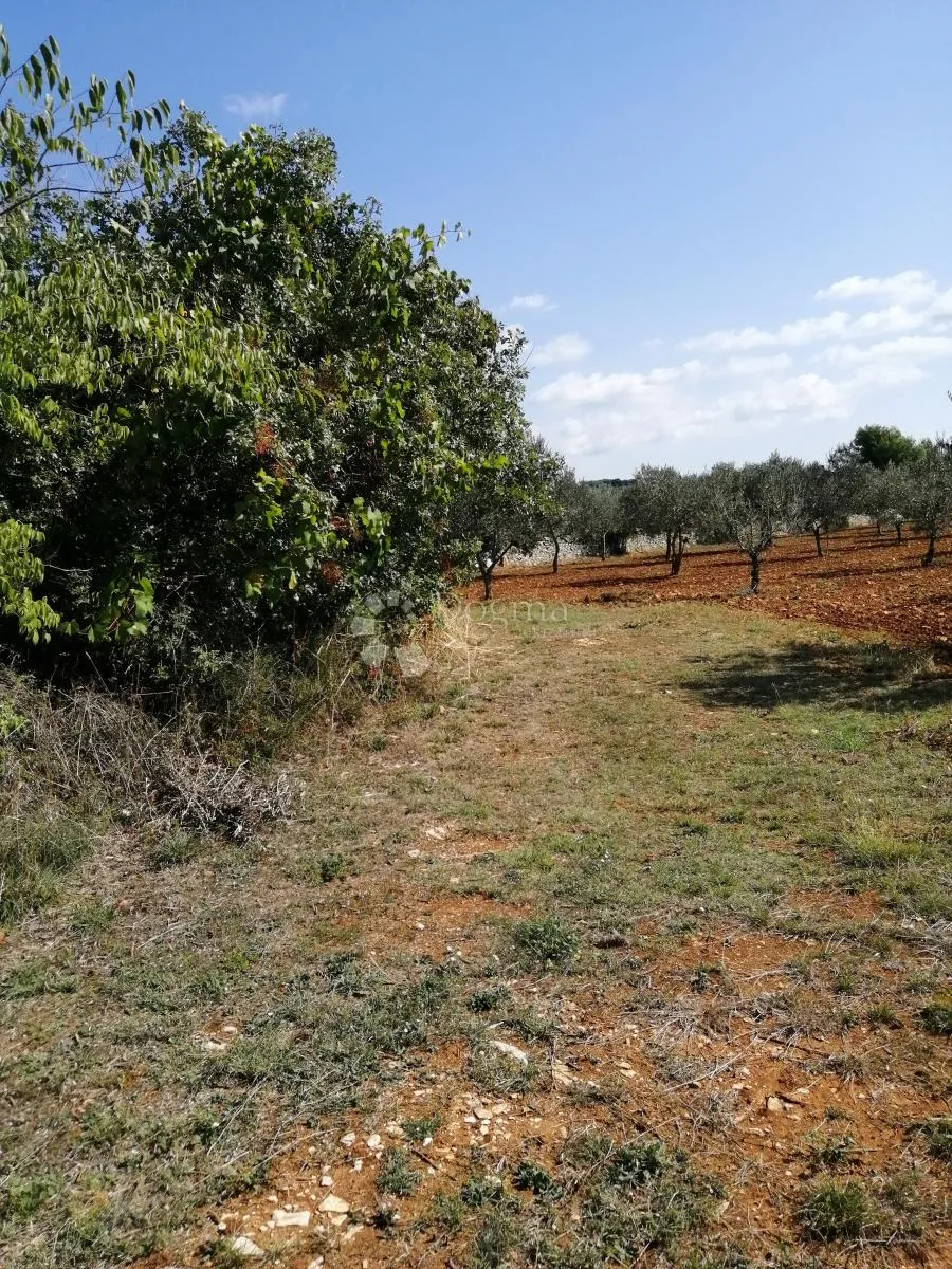 peroj – 689 m² poljoprivredno zemljište na 1.700 m od mora - slika 2