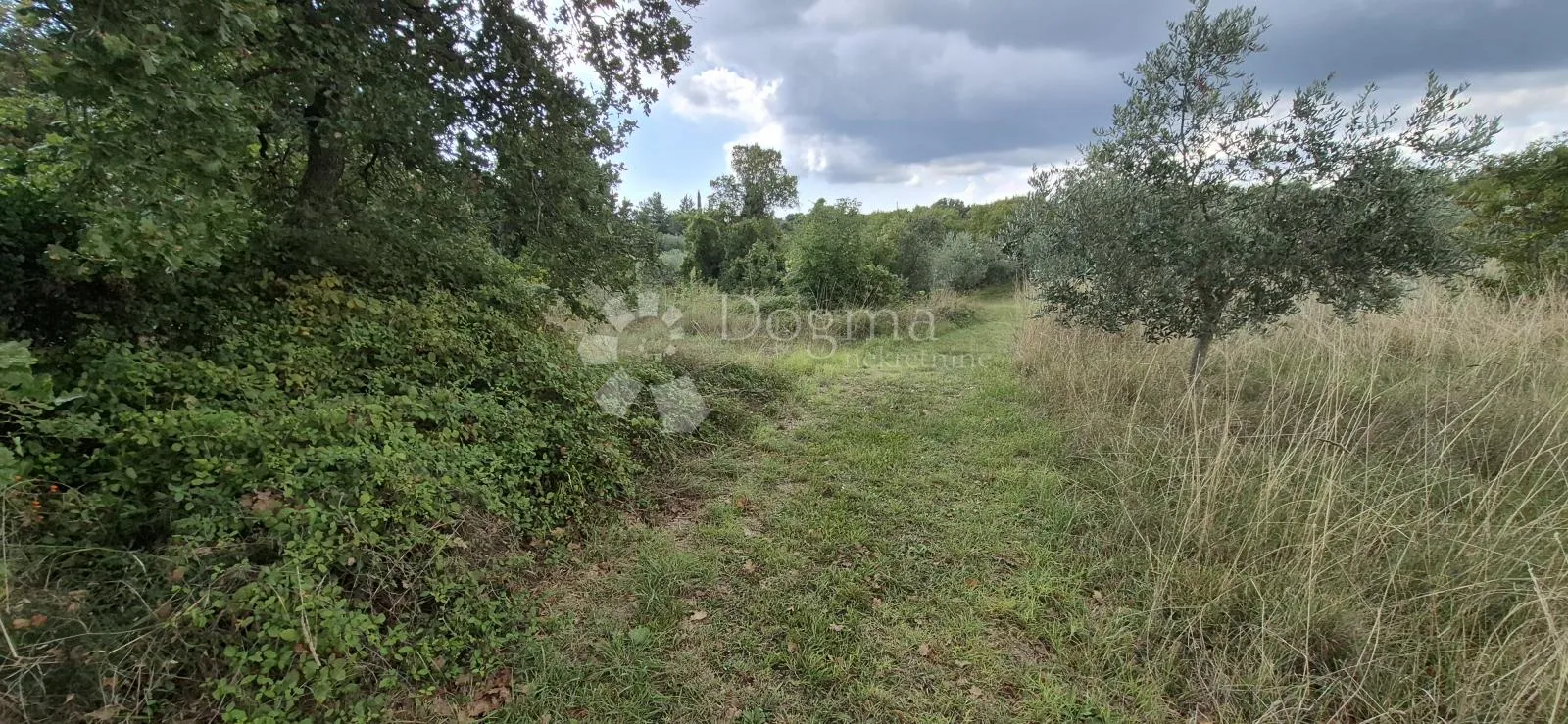 prodaje se poljoprivredno zemljište - kavran 1173 m2 - slika 8