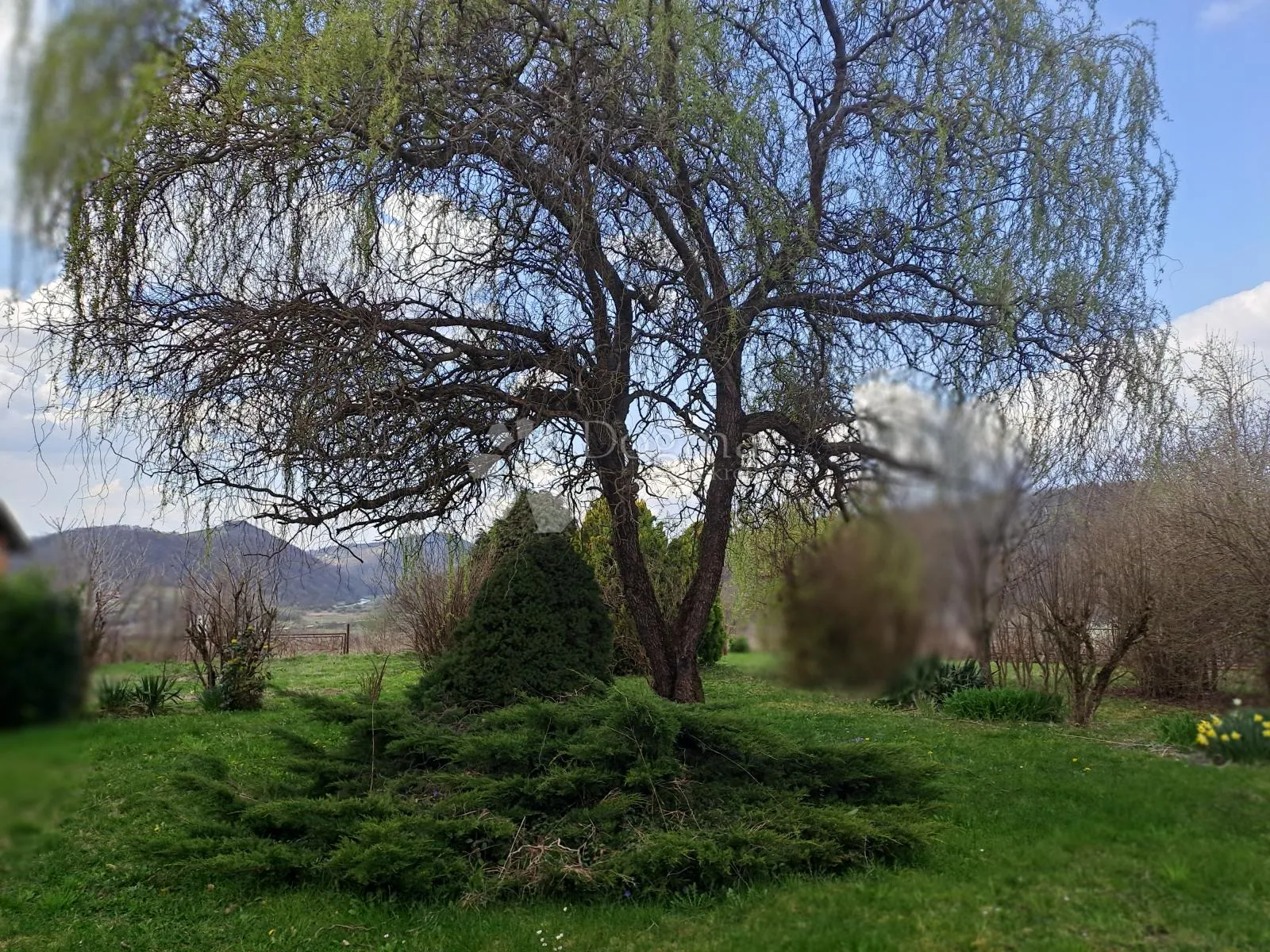 prekrasan pogled i okućnica - slika 13