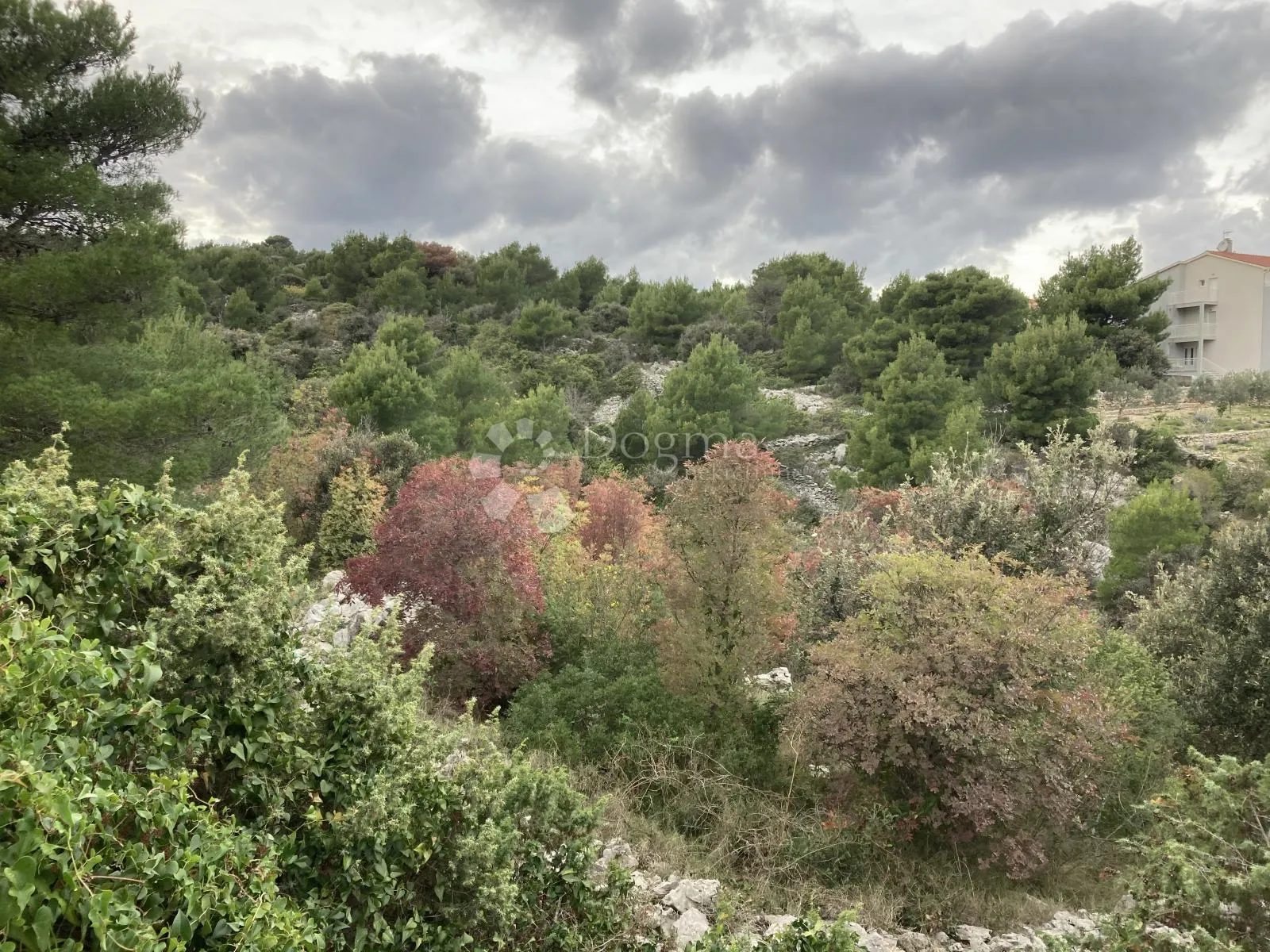ražanj - građevinsko zemljište 20m od mora!! 1.365m2 - slika 3