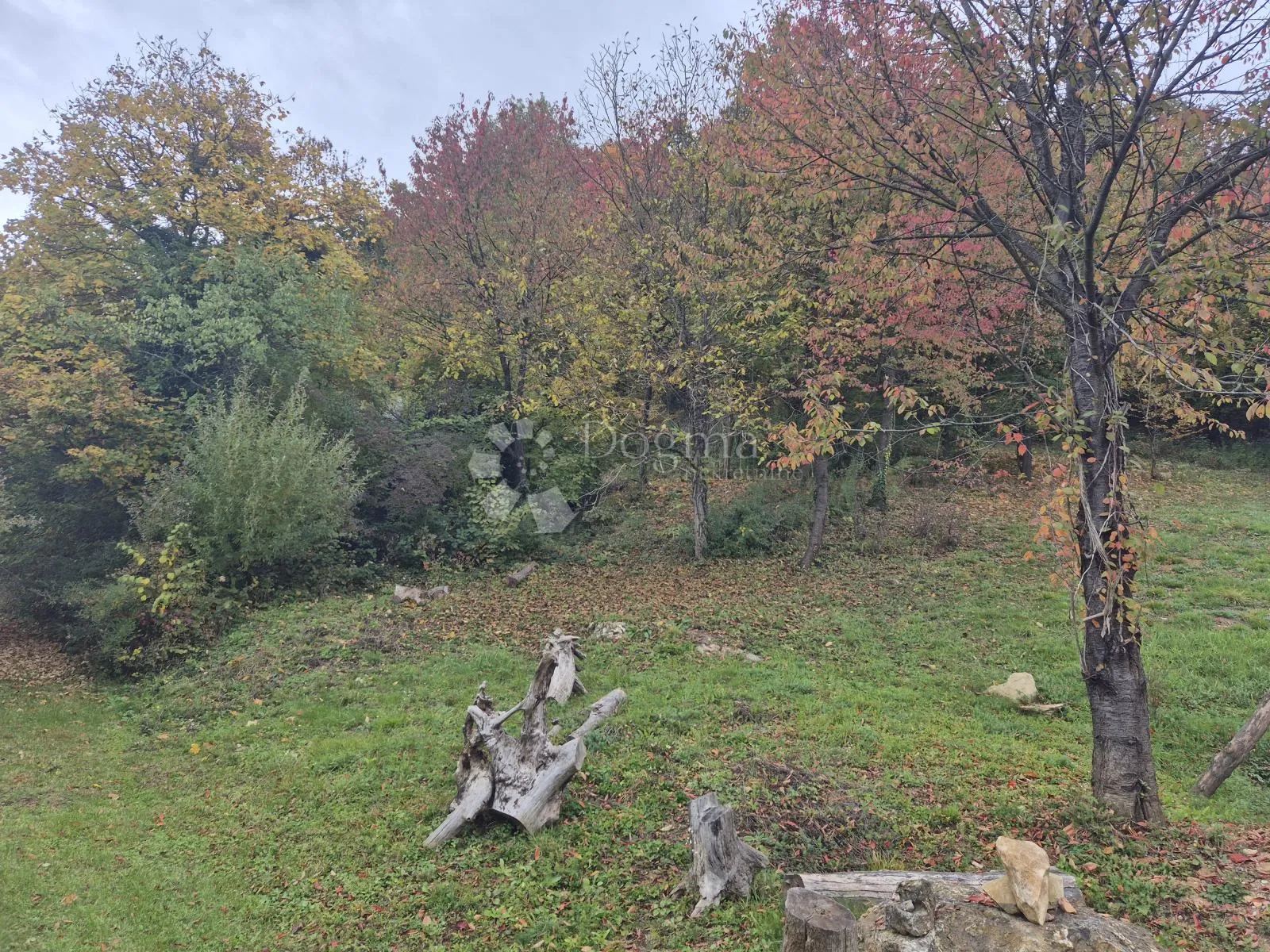 izvanredna prilika za kupnjom posjeda od 125.634m² nadomak slovenije! - slika 5