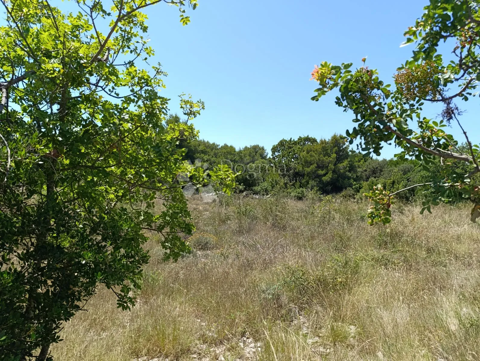 drage (pakoštane) - građevinsko zemljište 778m2 - slika 6