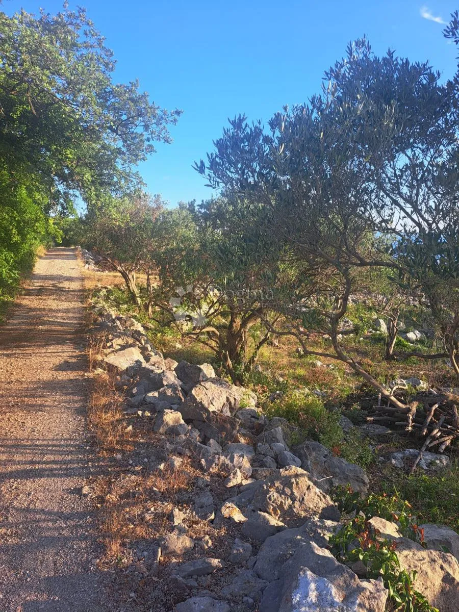 vaš kutak mediterana – maslinik s pogledom na more - slika 8