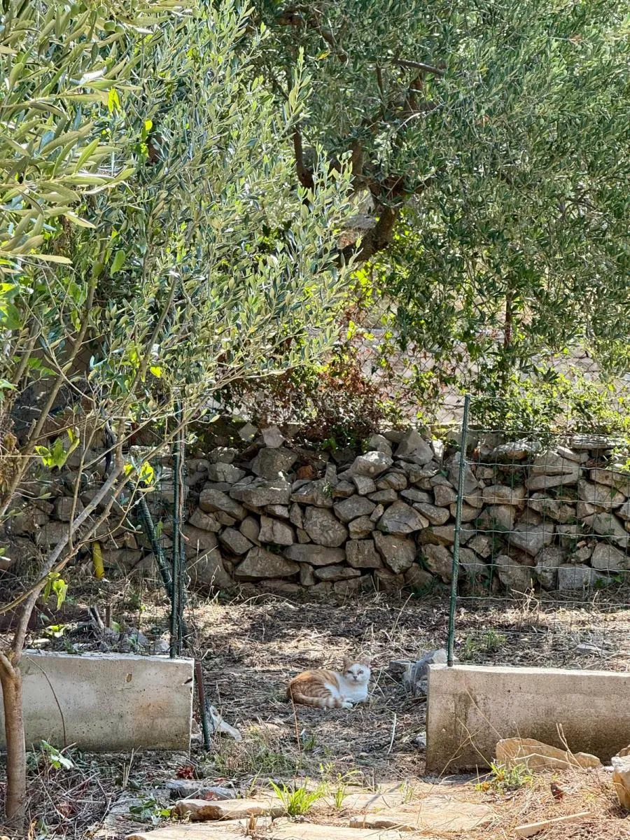 mediteranski bombončić - dvije stambene jedinice! - slika 28