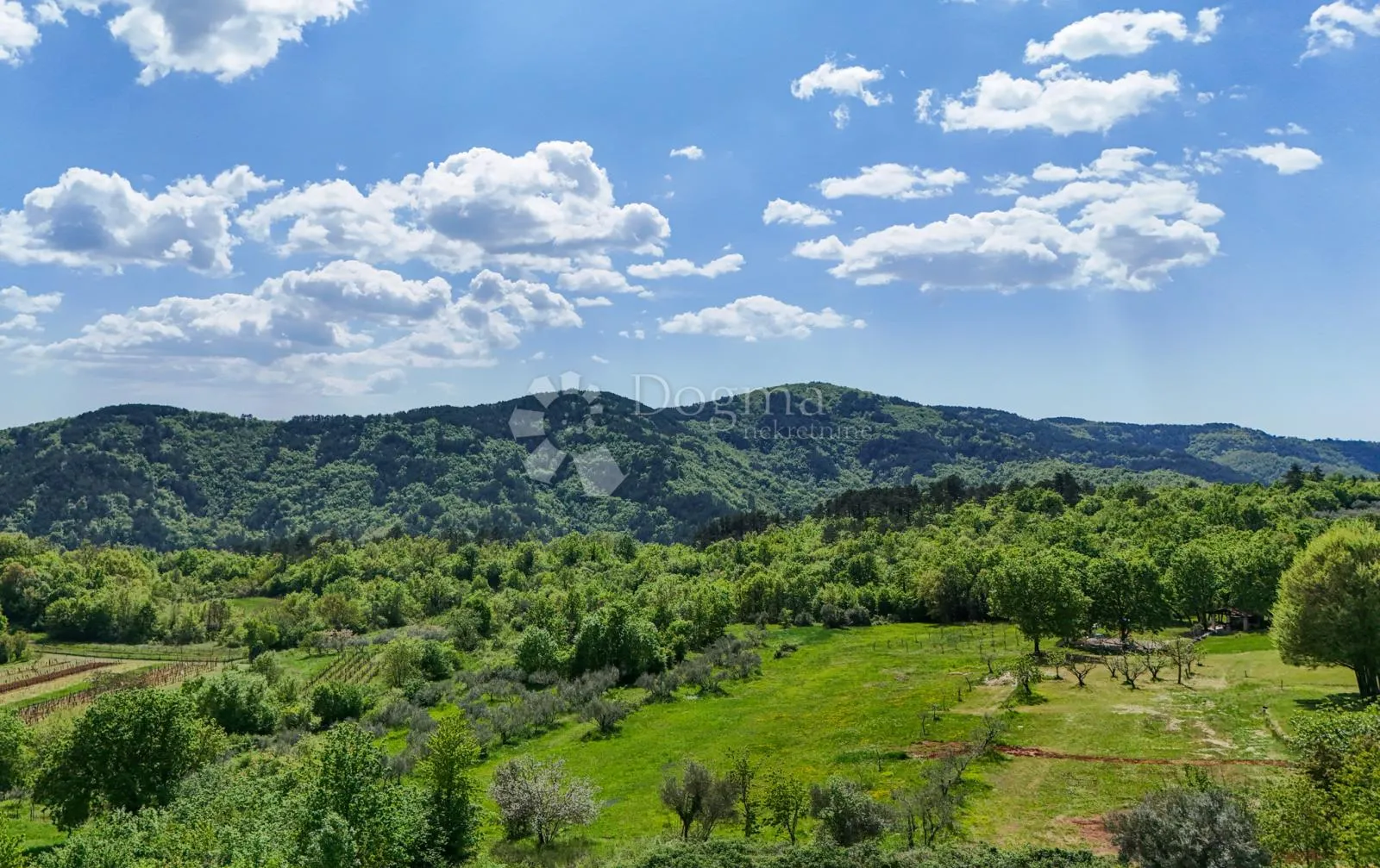 moderna vila u središnjoj istri - slika 6