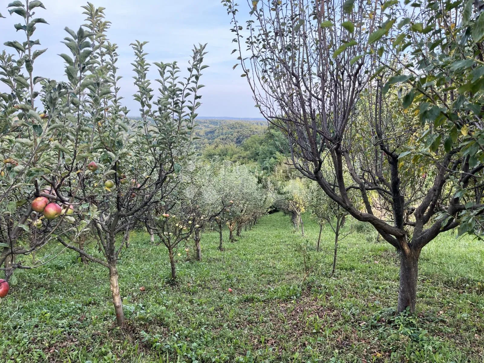 okić - žumberak park prirode - slika 6