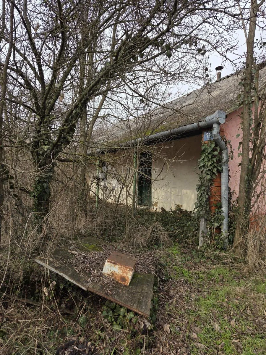 prilika, za adaptaciju, dalj planina, 50 m² - slika 4