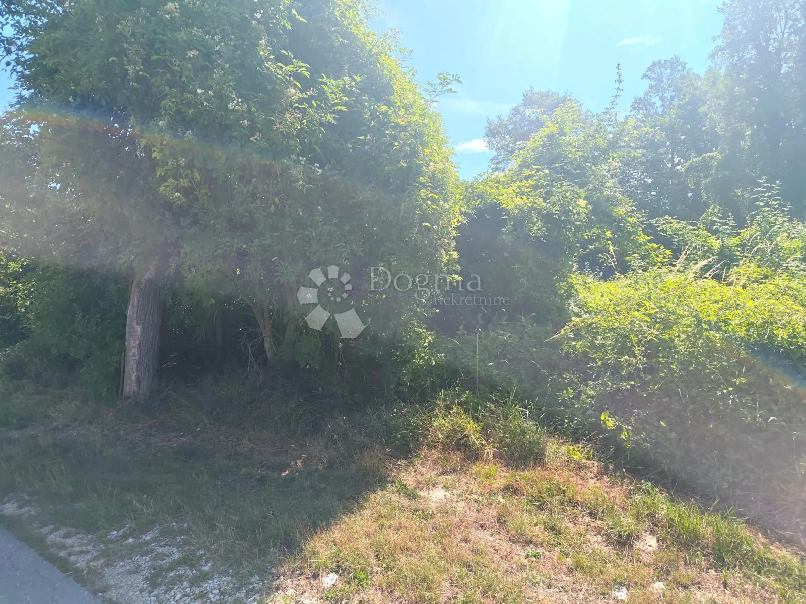 građevinsko zemljište s infrastrukturom, 2290 m² okolica pazina - slika 9