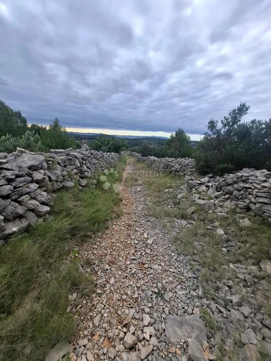 maslinik s pogledom na more milna brač - slika 9