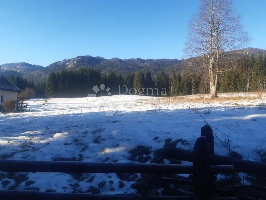 plac na bjelolasici - slika 6