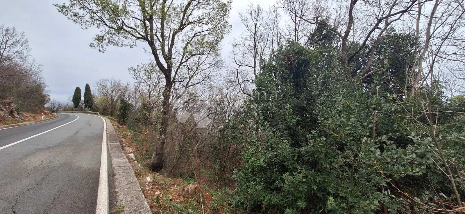 mošćenička draga poljoprivredno zemljište s pogledom na more - slika 2