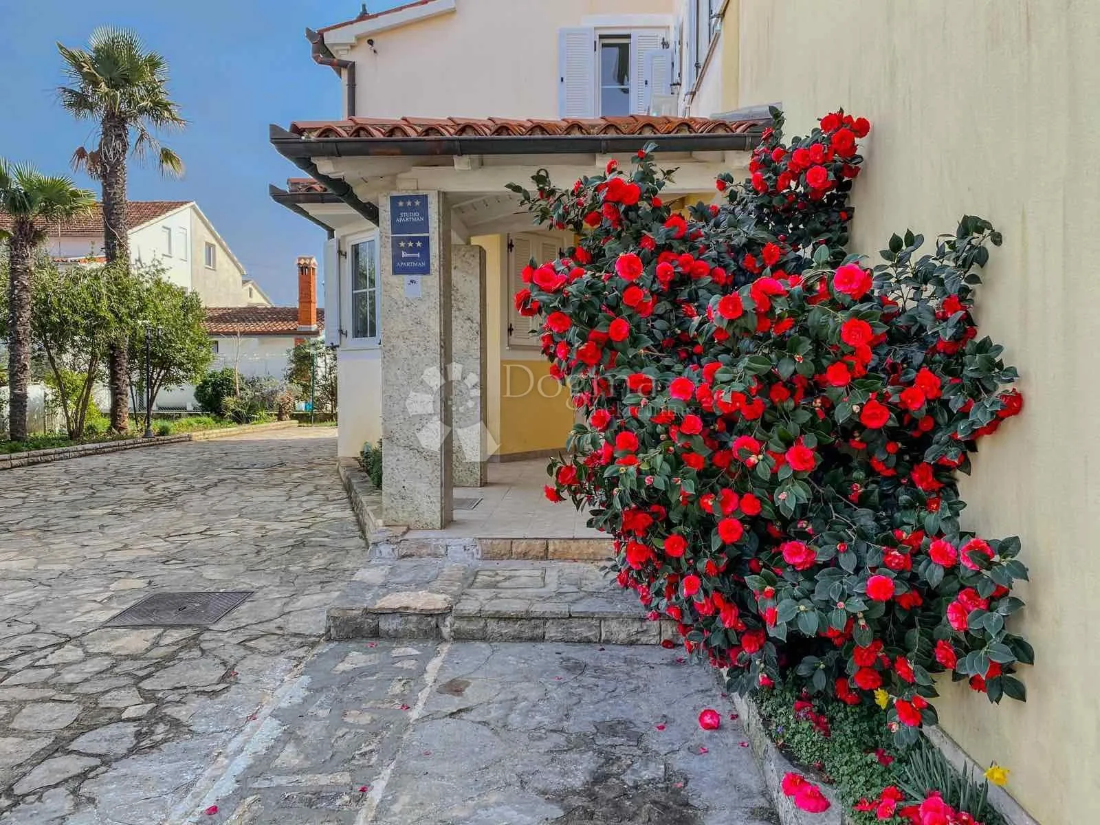 kuća s 10 apartmana u medulinu, istra - aparthotel - slika 4