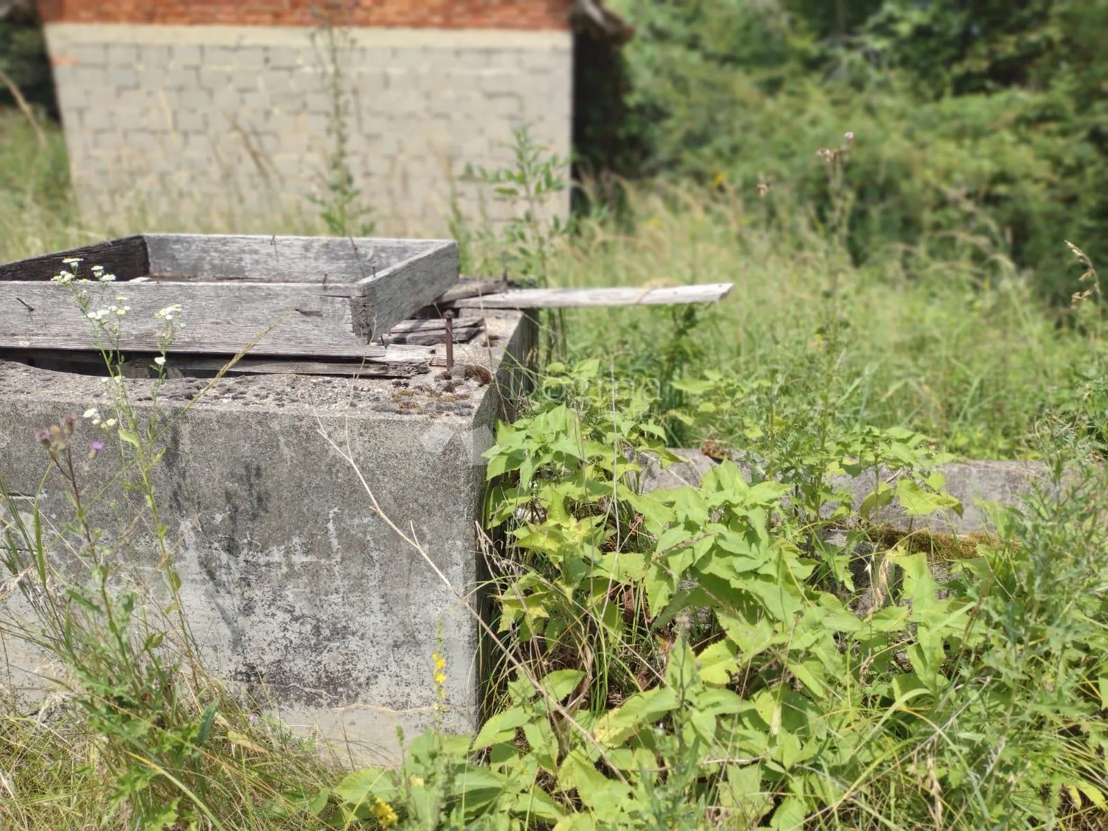 odlično, bez susjeda, 2 kuće za adaptaciju - slika 5