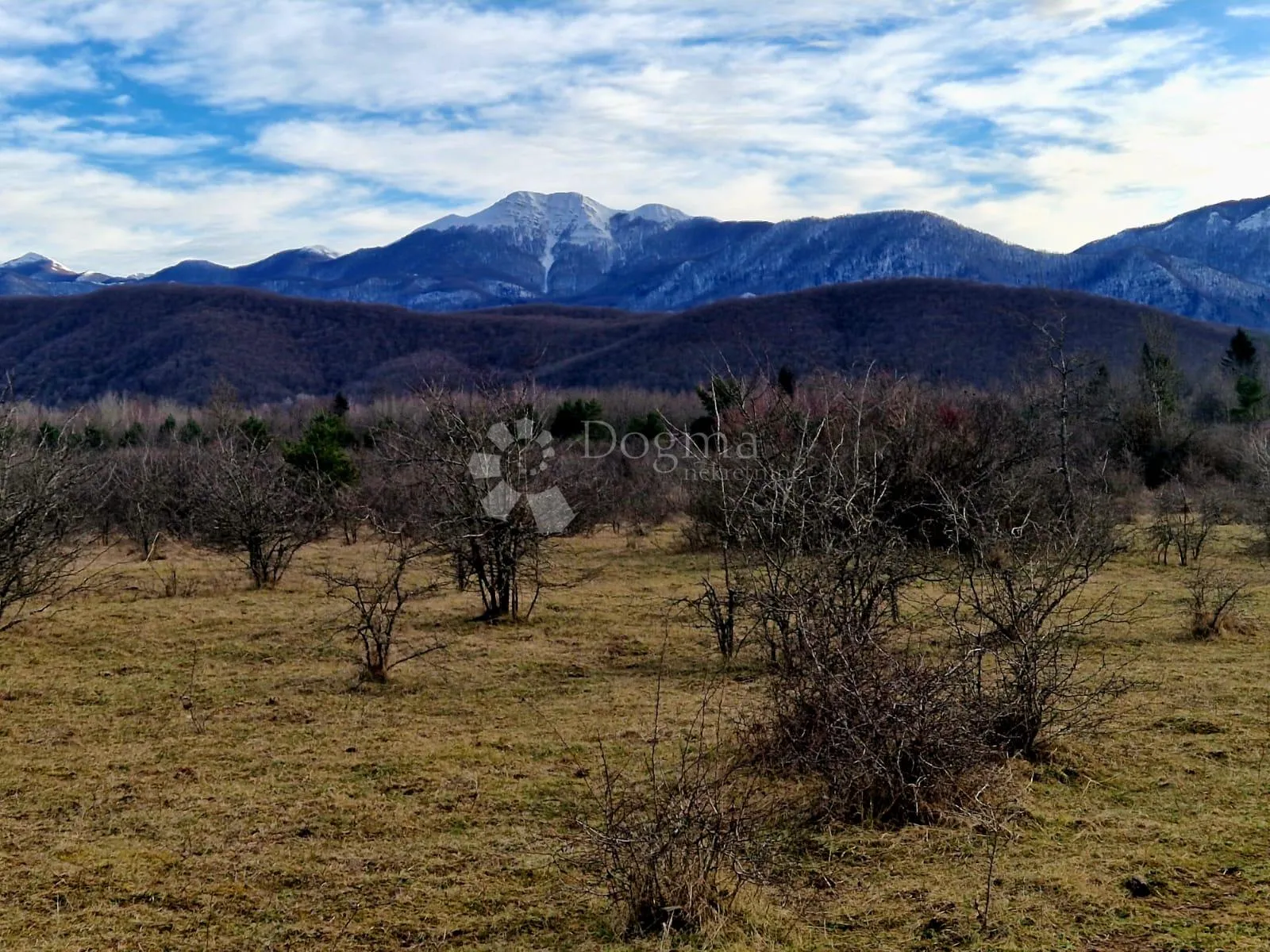 građevinsko zemljište divoselo 50093 m2 - slika 2