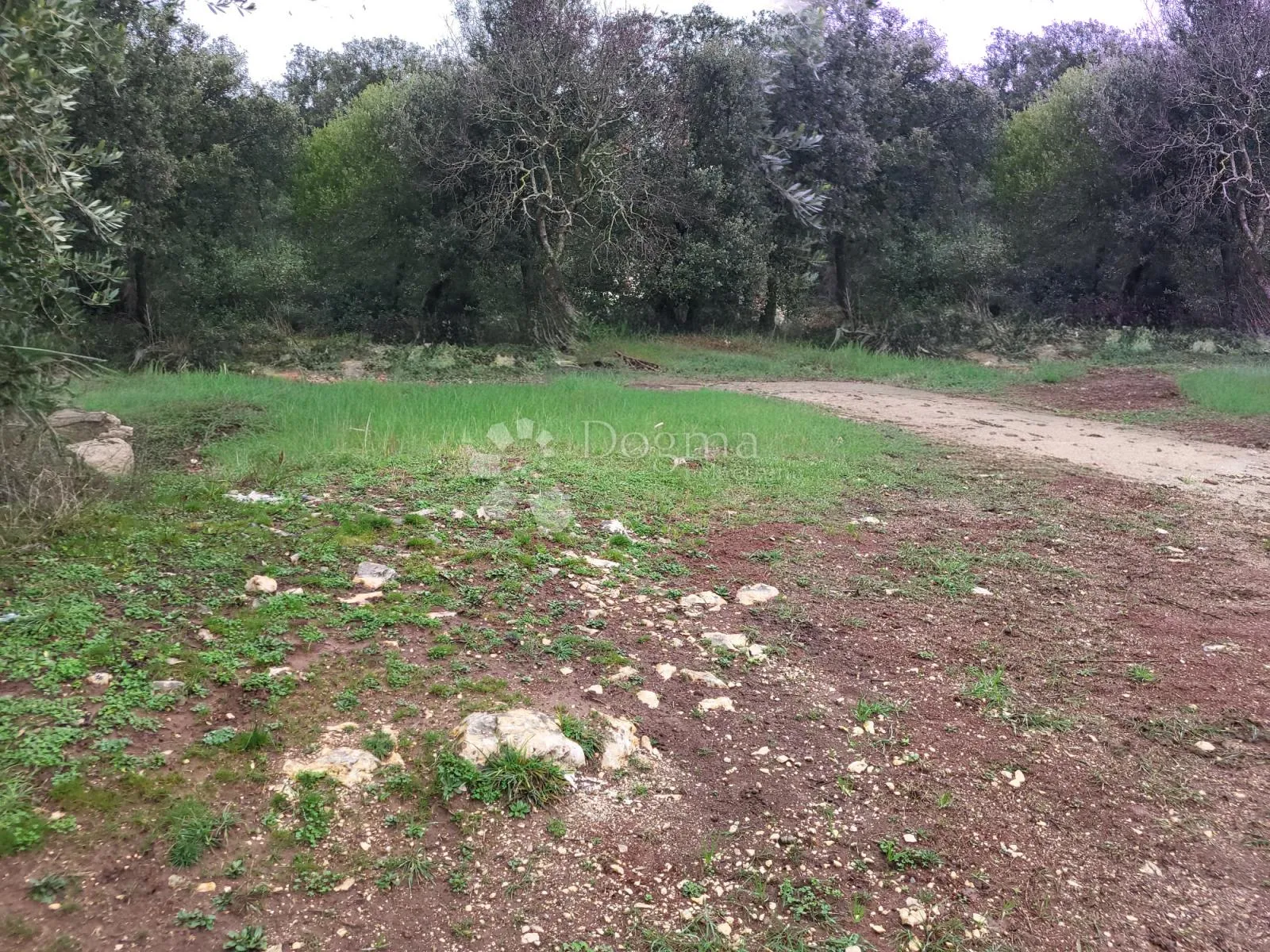teren sa građevinskom dozvolom - slika 1