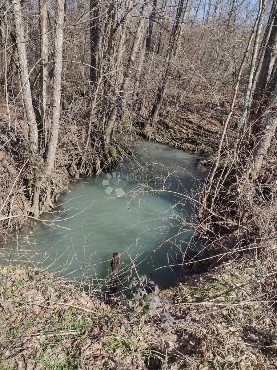 zemljište odlično, kuća loša, okolica daleko od bilo čega urbanog - slika 4