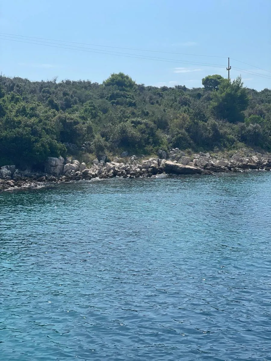 odlična investicija-poljoprivredno zemljište na drveniku 3.276m2 - slika 2