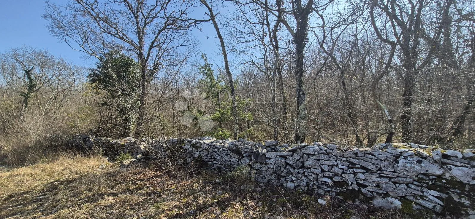 poljoprivredno zemljište površine 23953 m2 sa ogromnim potencijalom - slika 2