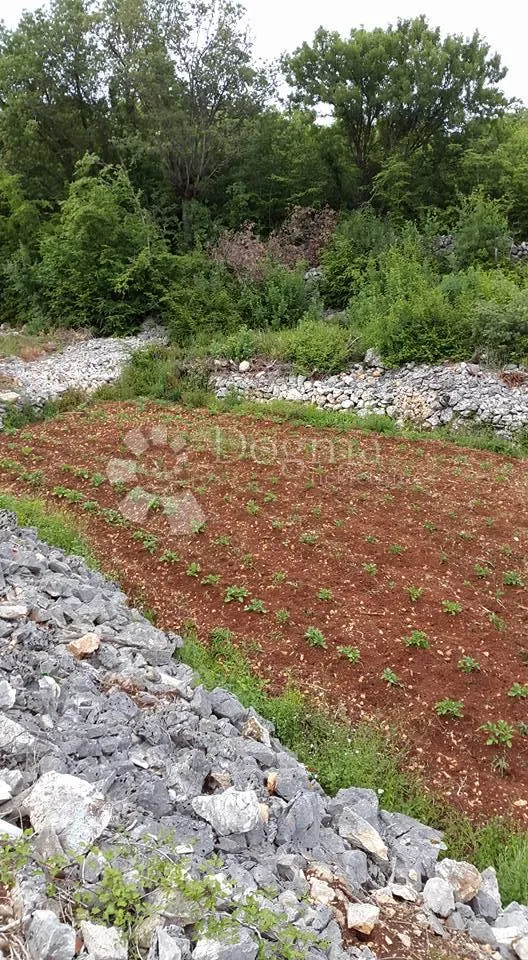 kras - veliko građevinsko zemljište - slika 2