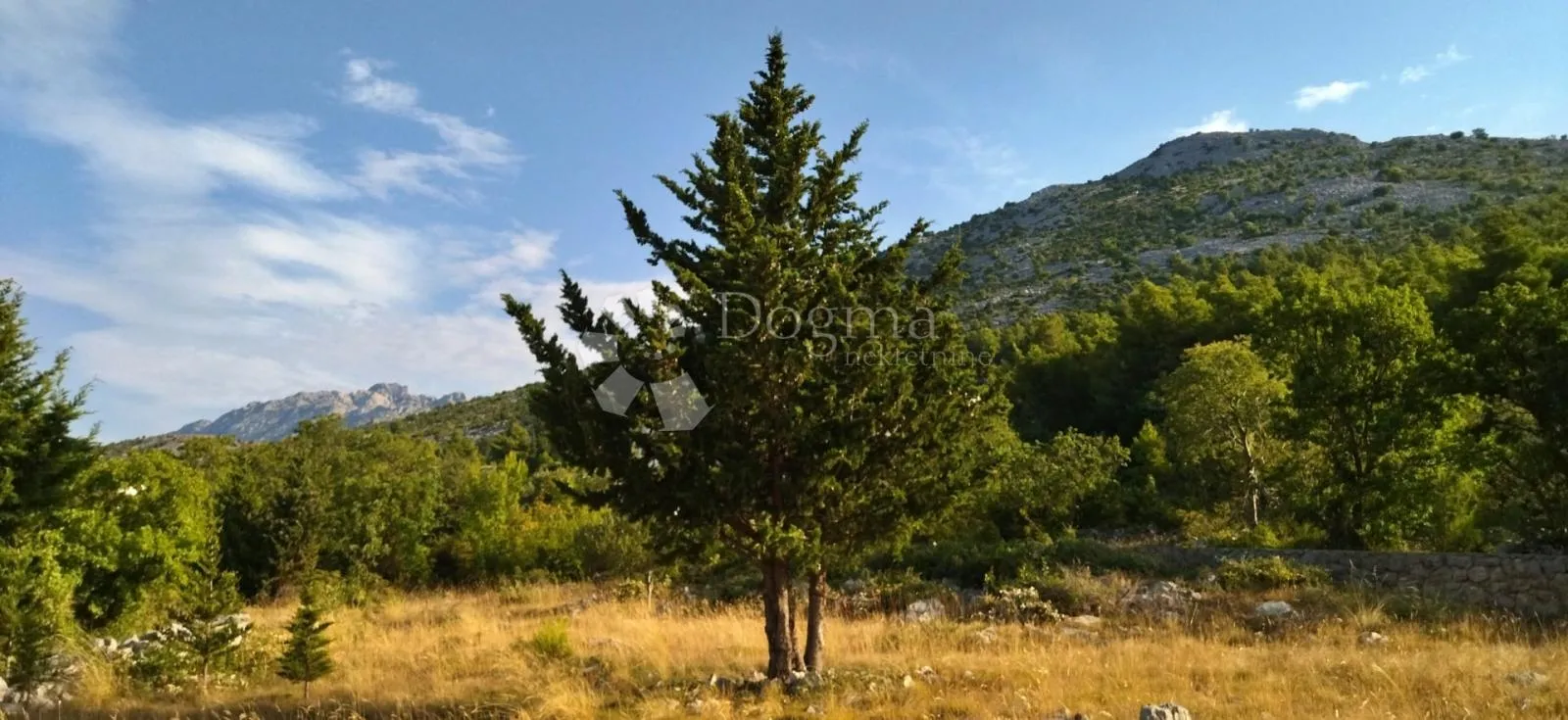 [oaza blizu mora] zemljište starigrad 7500m2 - slika 5