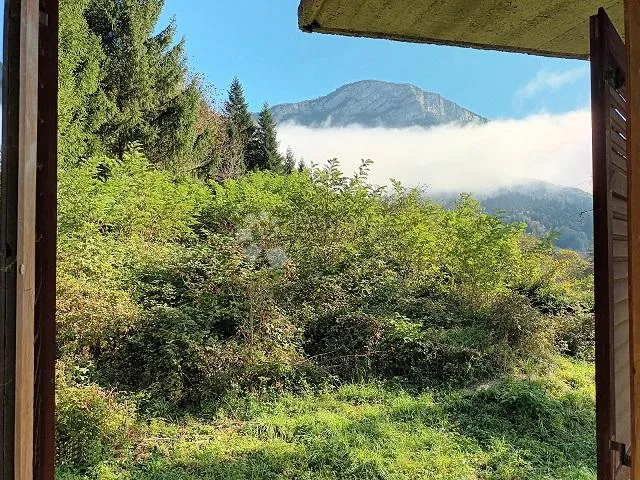 velika kuća pored kupe sa 2385 m2 okućnice - slika 2