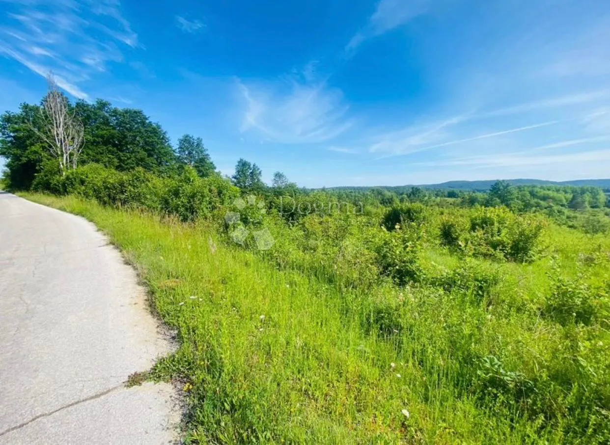 veliko zemljište sa građevinskom zonom slunj/korana - slika 8