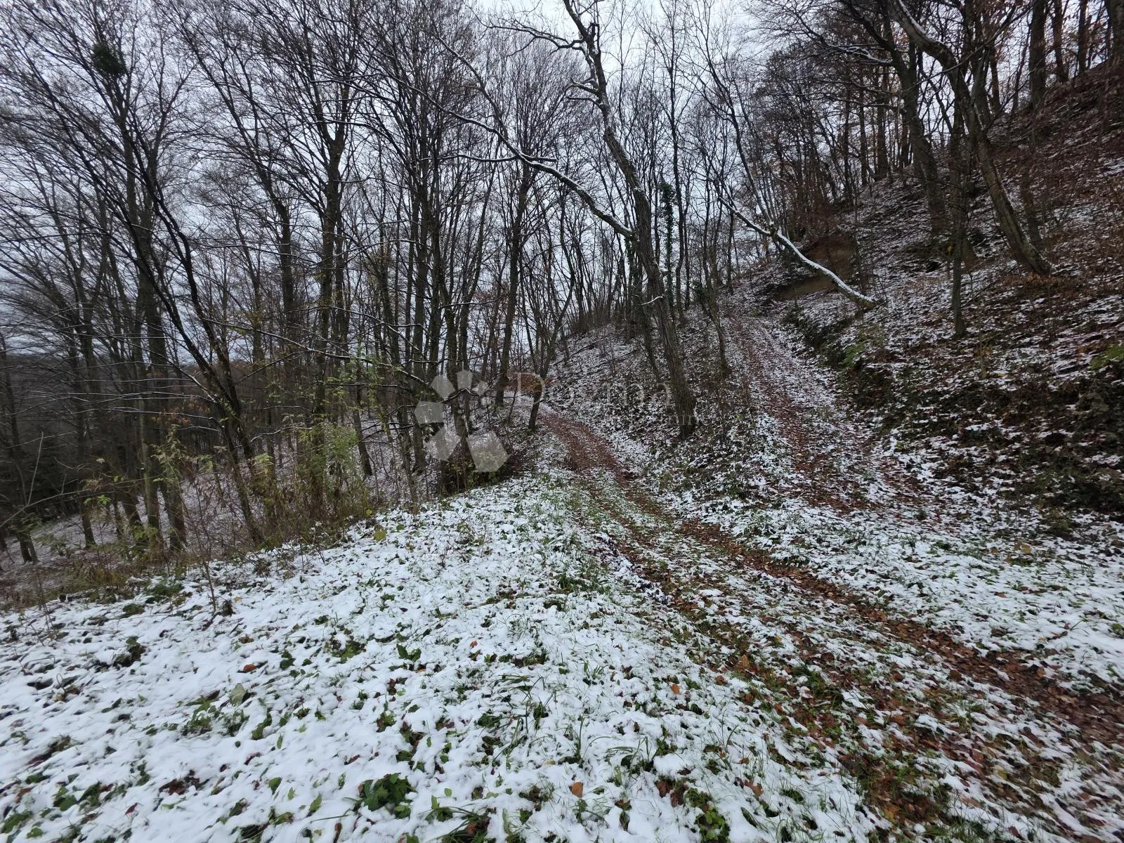 građevinsko zemljište s projektom u netaknutoj prirodi, blizu krapinskih toplica - slika 4