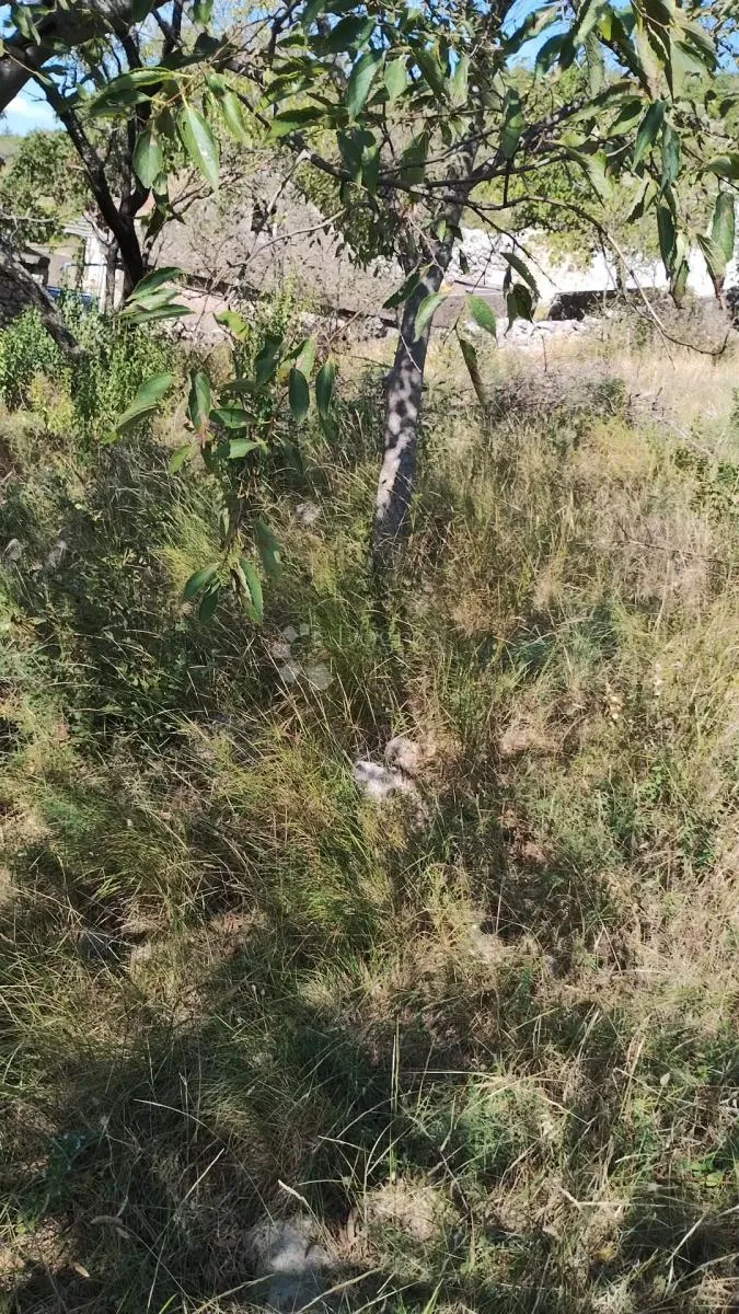 građevinsko zemljište - seline - starigrad - slika 8