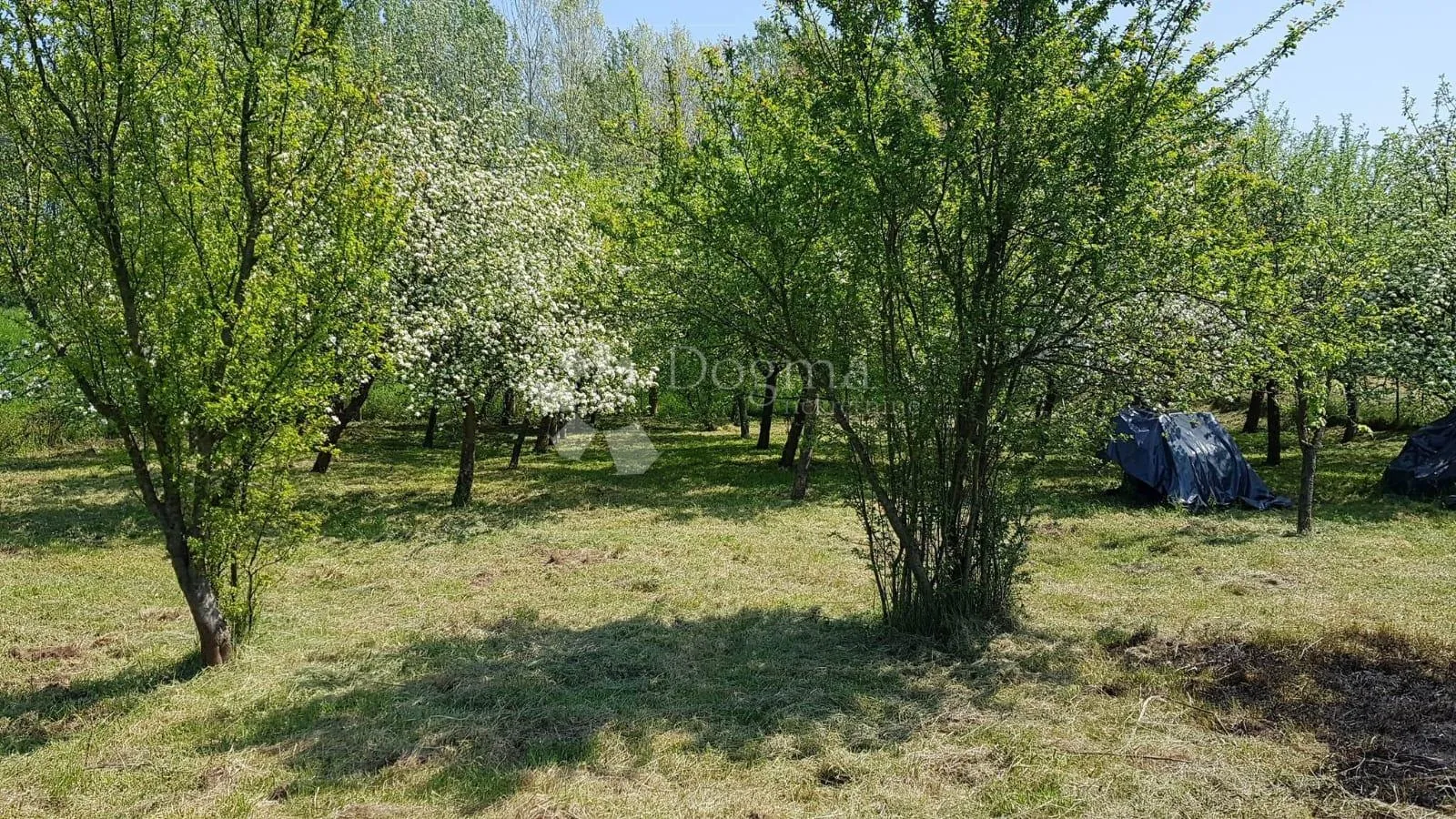 drnek velika gorica 1700m2 uz savu! - slika 6