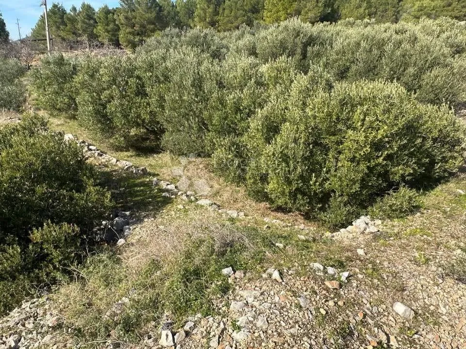 zemljište s pogledom na more u turističkoj zoni – hvar - slika 4