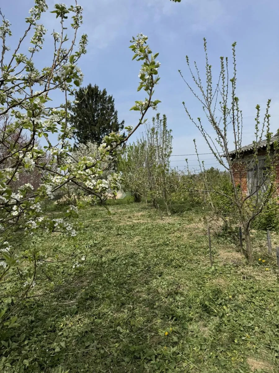 starčevljani - velika parcela za turizam ili investiciju - slika 2