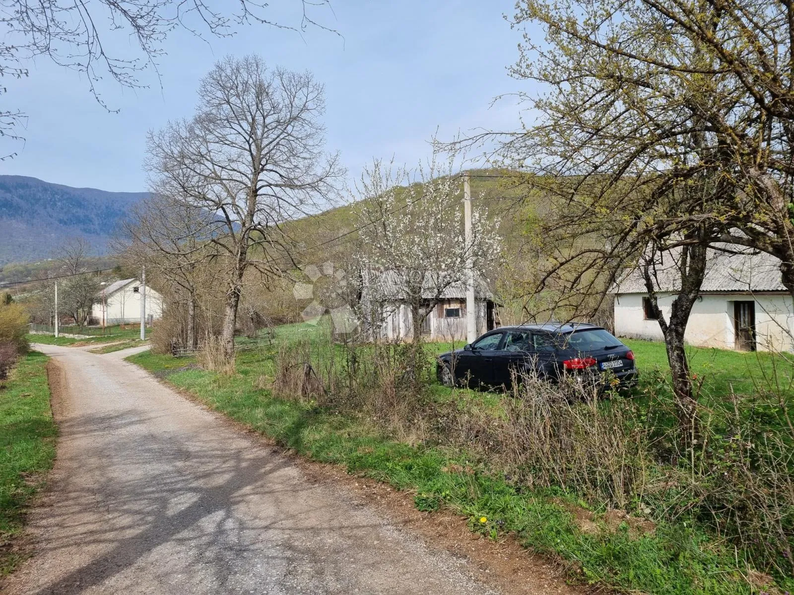 priiroda na najjače - slika 4